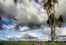 虎扑体育：中国U17男足将举行年度第二期集训.