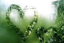 [CBA]王岚嵚：冲破桎梏 渐入佳境.