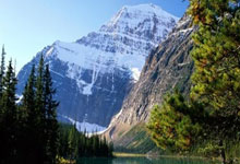 虎扑体育：乔-科尔：B费应该离开曼联，扛着球队前进还天天被骂.