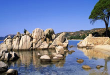 虎扑体育：代表皇马传奇队出战，卡西、佩佩、阿韦洛亚参加贝肯鲍尔杯.